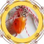 Martisor Carneol