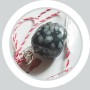 Martisor Obsidian