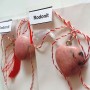 Martisor Rodonit